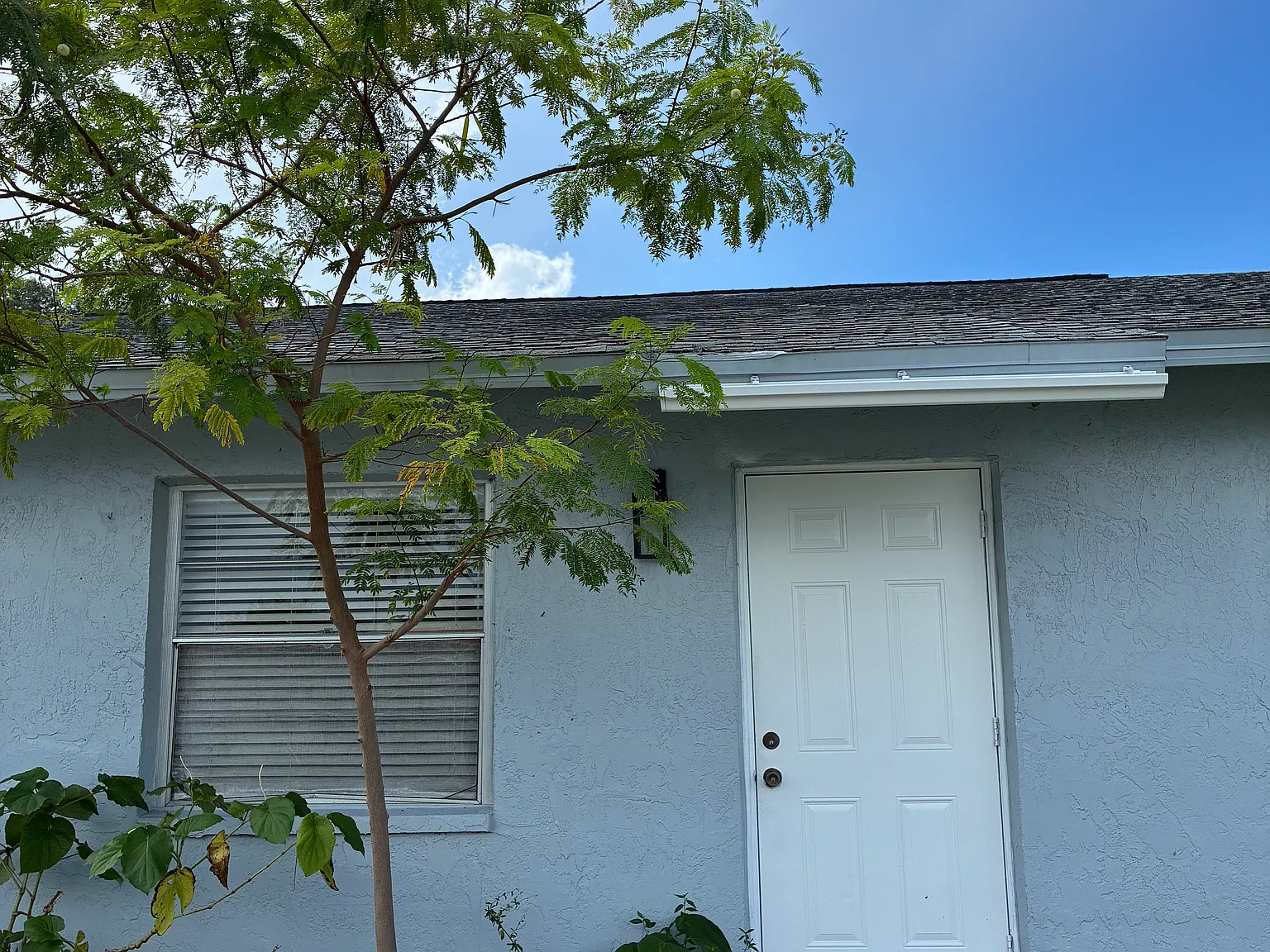 2 bed, 840 sqft, $1,600 — Photo 3