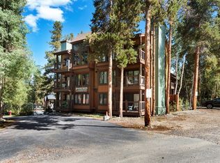 820 Columbine Rd #20, Breckenridge, CO 80424
