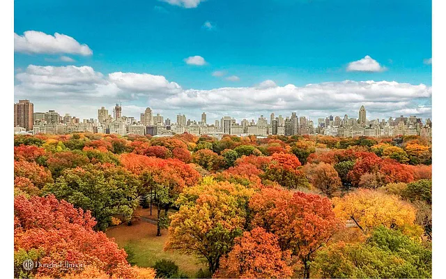 Sold by Douglas Elliman | media 14