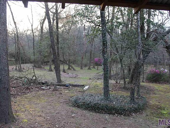 4th image of 5613 Bristle Cone Dr