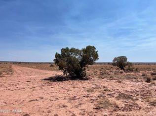 8191 E Concho Hwy PARCEL B, Snowflake, AZ 85937