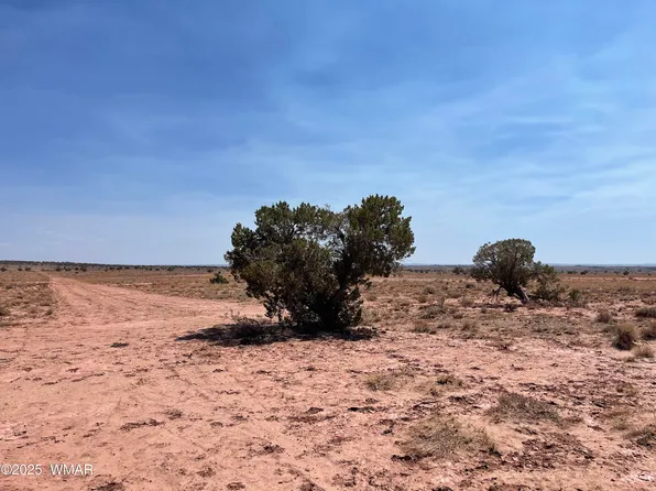 8191 E Concho Hwy Parcel B, Snowflake, AZ 85937