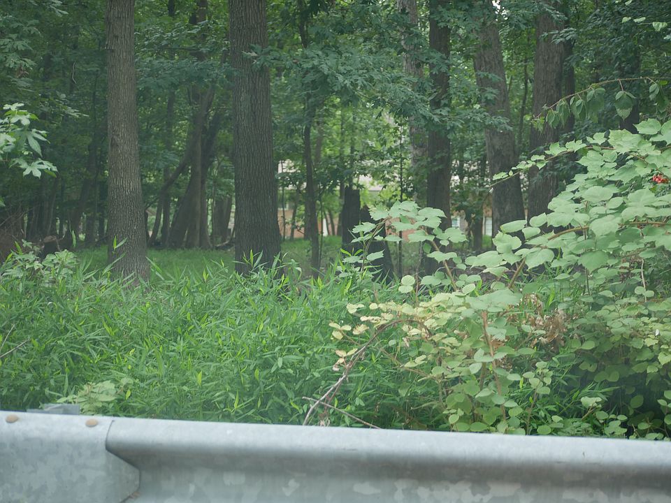 1st image of 0 Warburton Ln