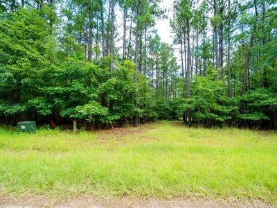 Lot 36 Savannah Ridge Road, Lincolnton, GA, 30817