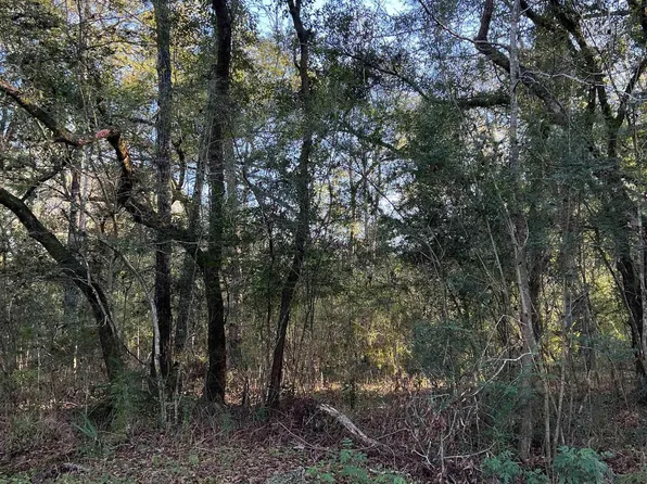 Warrior Dr, Lacombe, LA 70445