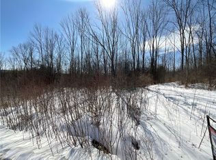 0 Gillies Hill Rd #36, Angelica, NY 14709