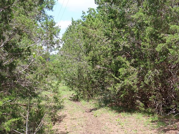 4th image of TBD 50 ACRES Rodeo Rd