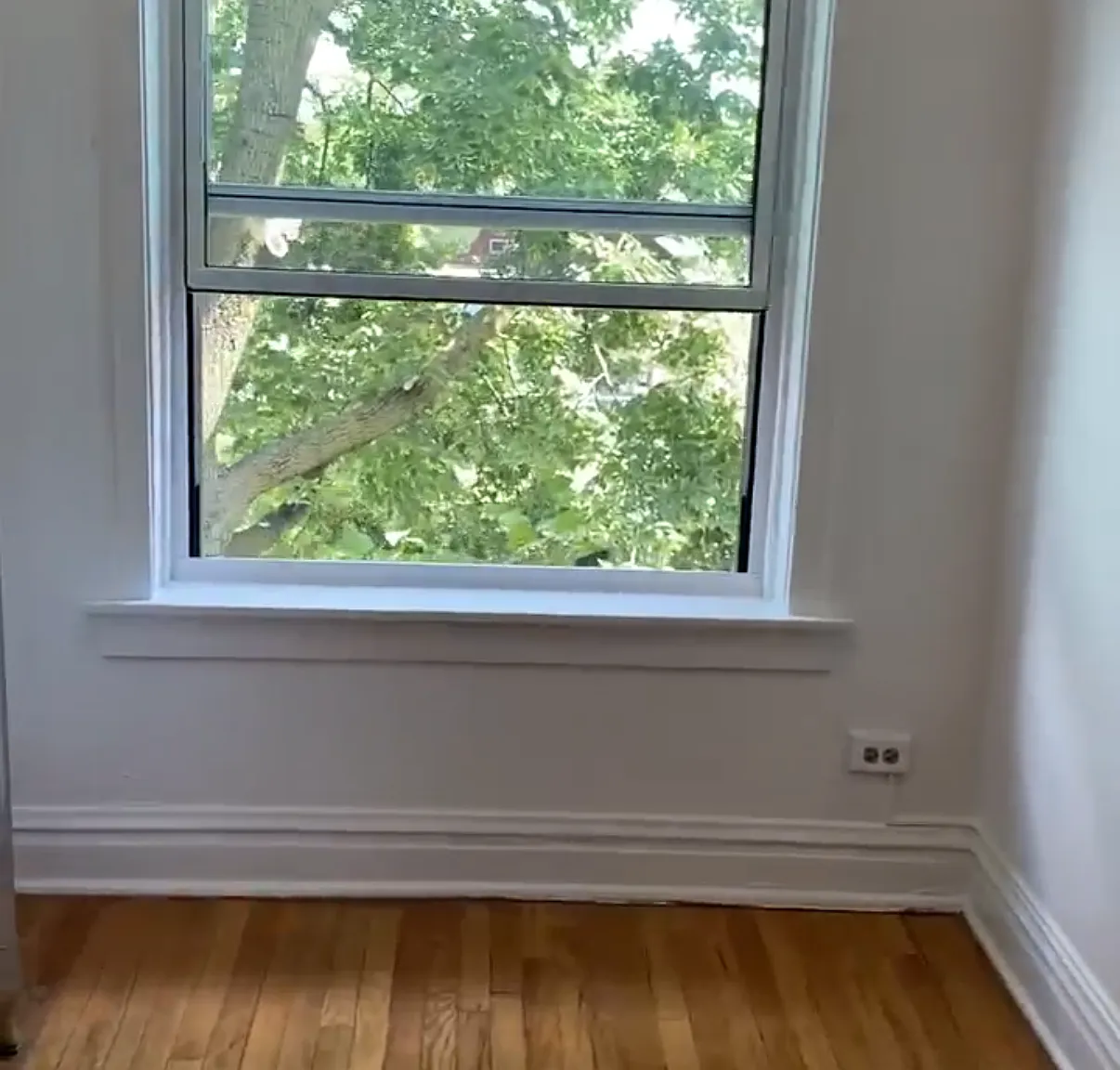 Studio, $999 — Photo 4