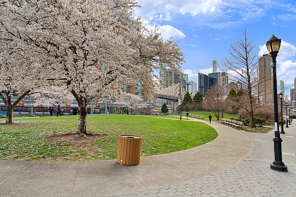 Rented by Corcoran | media 17