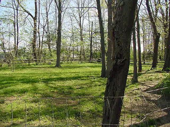 back yard (lot= .36 acre)