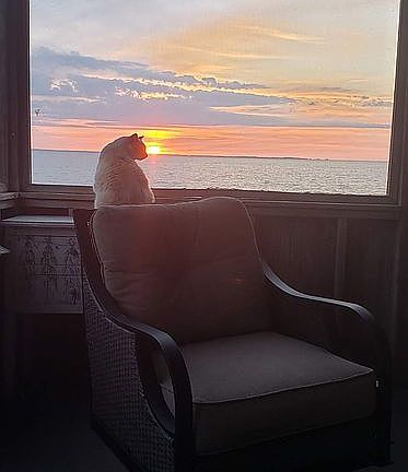 Views for Miles