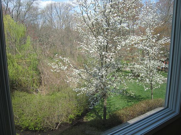 4th image of 40 Buckingham Dr