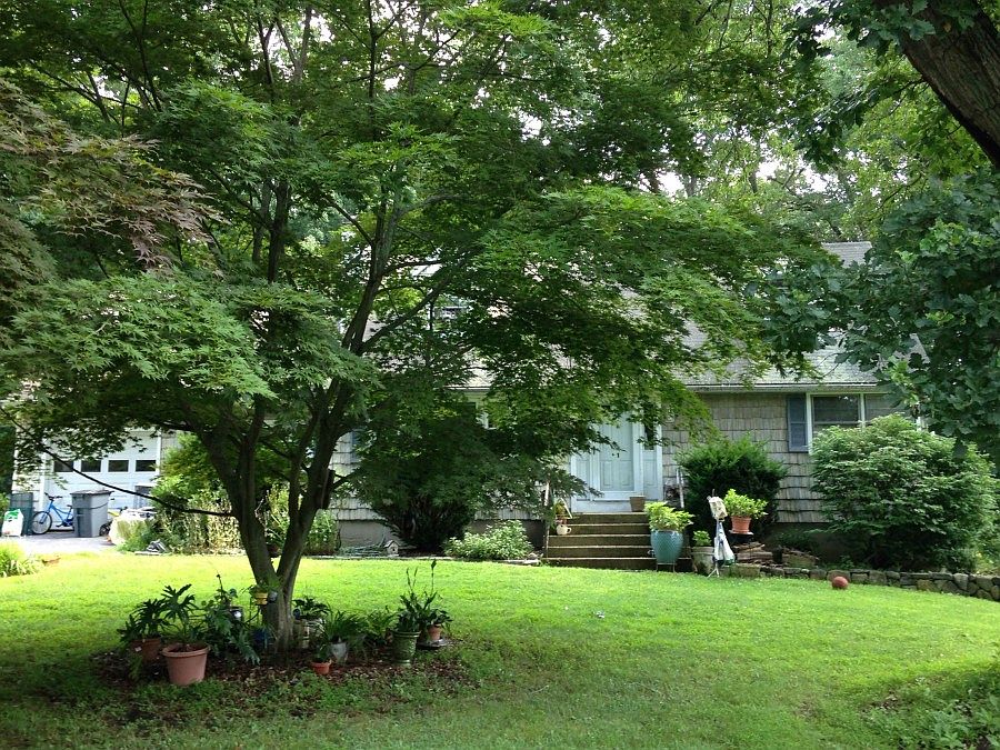 1st image of 81 Seven Oaks Ln