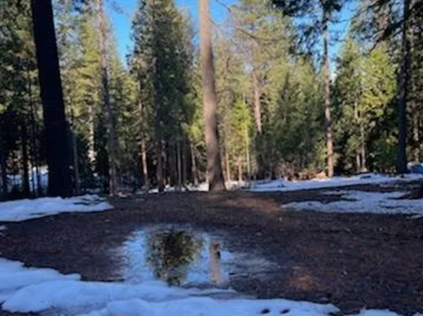 5636 Wildrose Ct, Grizzly Flats, CA 95636