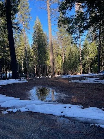 5636 Wildrose Ct photo 1