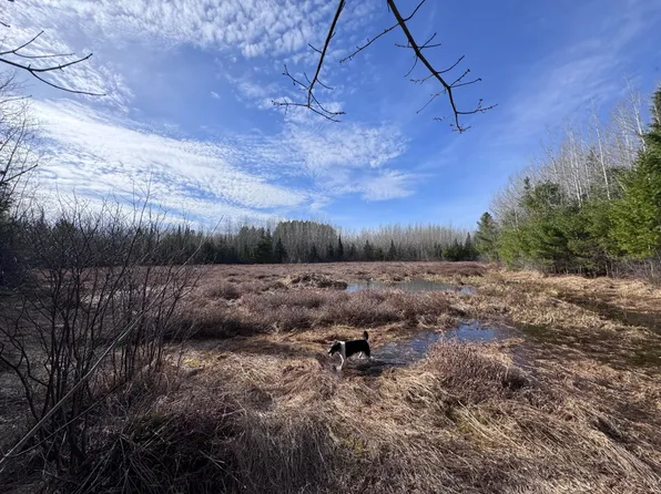 0 Pine Lake Rd #268 Acres, Minocqua, WI 54548