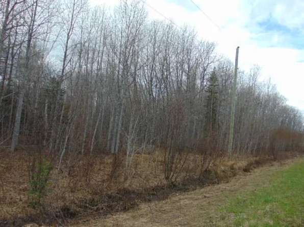 0 E County Road 462, Newberry, MI 49868