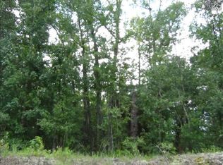 831 Bub Shumpert Rd, Pelion, SC 29123