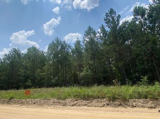 10-0 Archie Ware Rd, Trenton, SC 29847