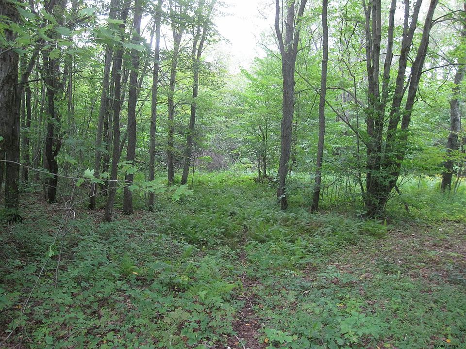 2nd image of 0 MILITARY Road