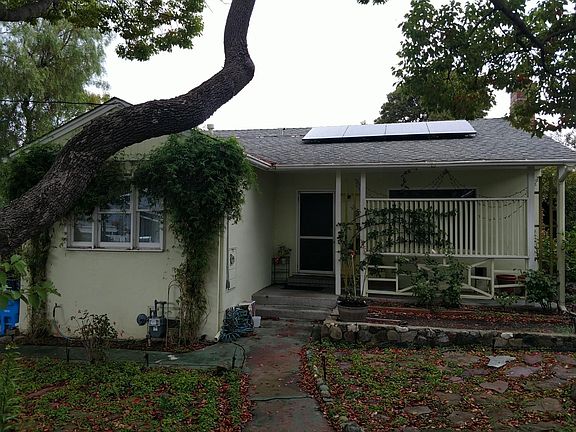 front of house, with rose bush, camphor trees, jasmine