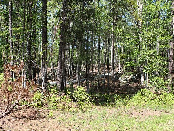 4th image of 1293 Pine Forest Dr