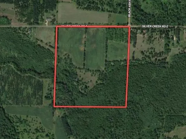 Silver Creek Rd, Birnamwood, WI 54414
