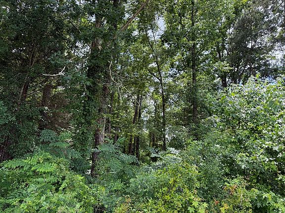2nd image of Lewis Mill Lake Rd