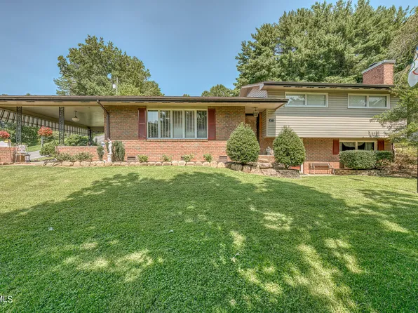 471 Church St, Weber City, VA 24290