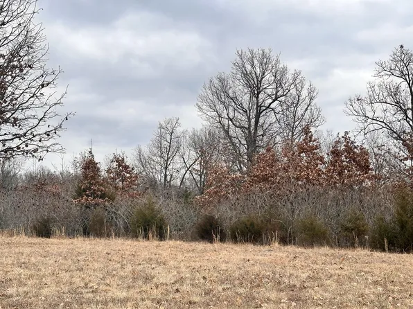 20 Clark Lane, Buffalo, MO 65622