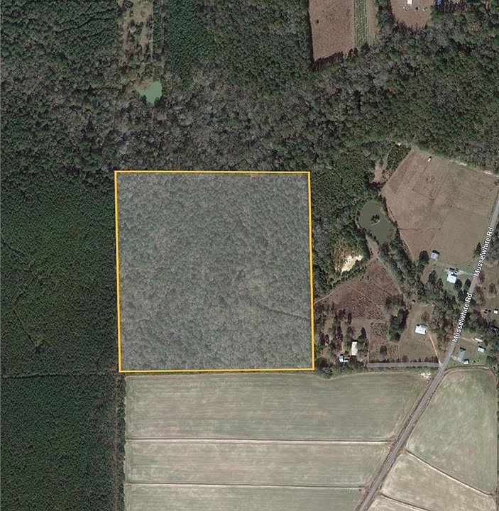 2nd image of 0 Musselwhite Rd
