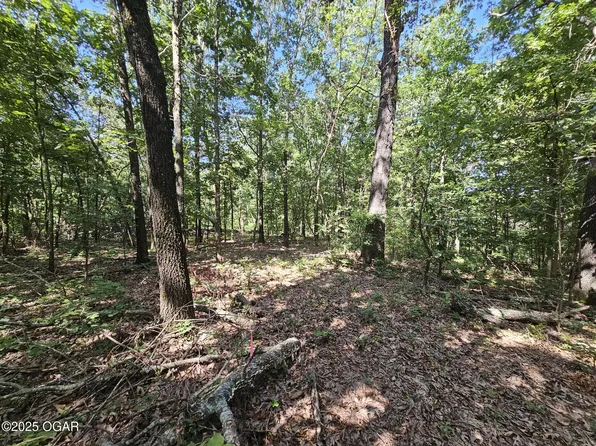 Plainview Rd, Anderson, MO 64831