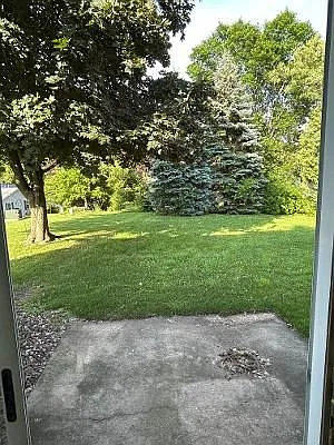 Parklike backyard