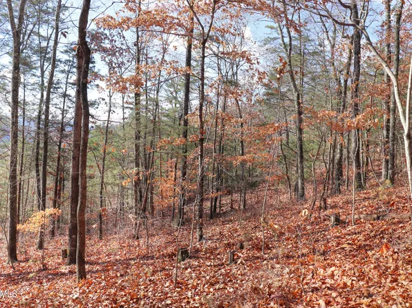 LOT 86 Norris Shores Dr, Sharps Chapel, TN 37866