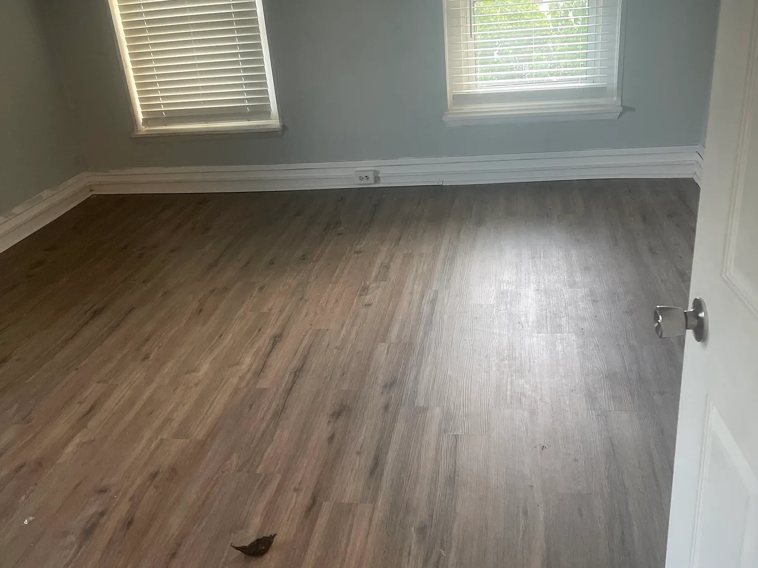 2 bed, $1,500 — Photo 1
