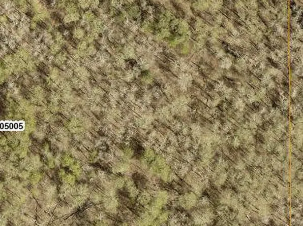 8 Bog Lake Trl, Osage, MN 56570