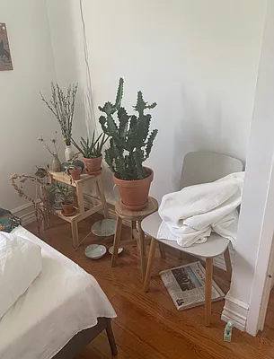 Rented by Geraldine Capasso, LREB | media 16