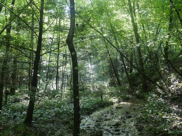 Saint Rte #606, Pennington Gap, VA 24265