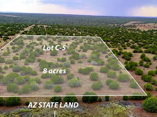 Silver Lake Blvd Lot 5, Show Low, AZ 85901