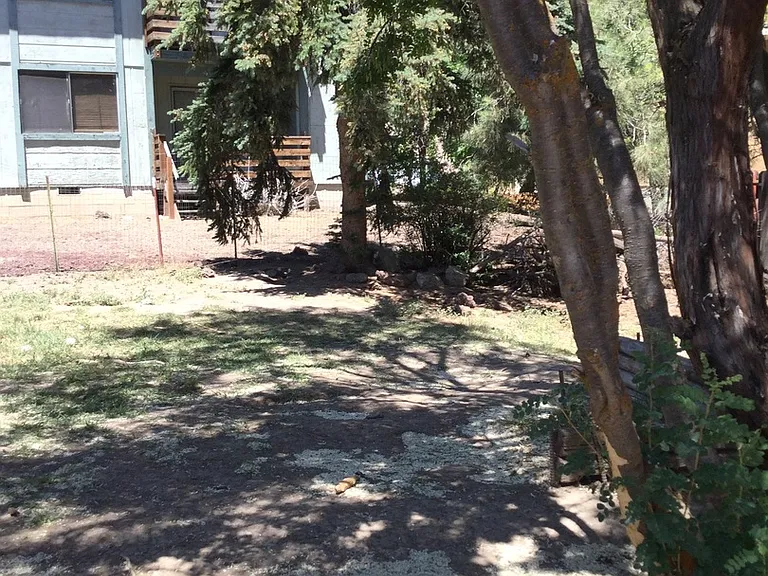4161 Adelaide Ave — Photo 8