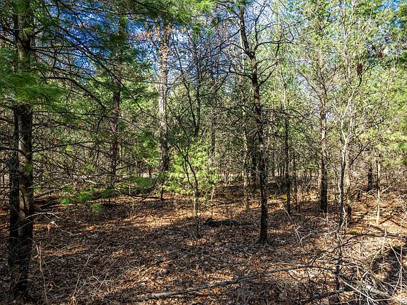 2nd image of Lot 4 Morros Mile Road #4