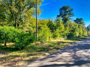 Boon Dock Rd, Avinger, TX 75630