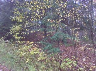 287 Yellow Rd, Nisula, MI 49952