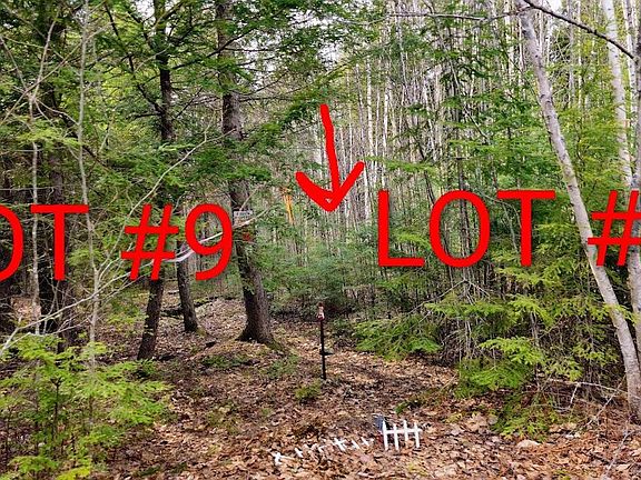 2nd image of 0 Woodland Drive #11