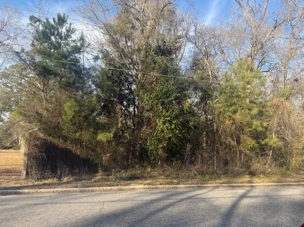 Near 217/TBD East Clay St., Whiteville, NC 28472