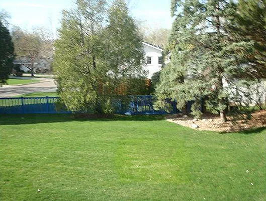 Fenced Yard for fun family time