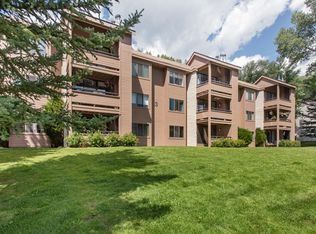 334 Vine St #334, Aspen, CO 81611