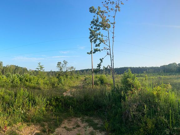 4th image of County Road 4112