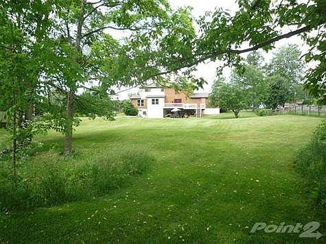 4th image of 10782 Palestine Dr