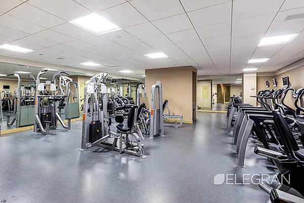 Rented by (Legacy) Elegran | media 12